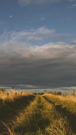 哈密瓜坐月子可以吃吗截图3